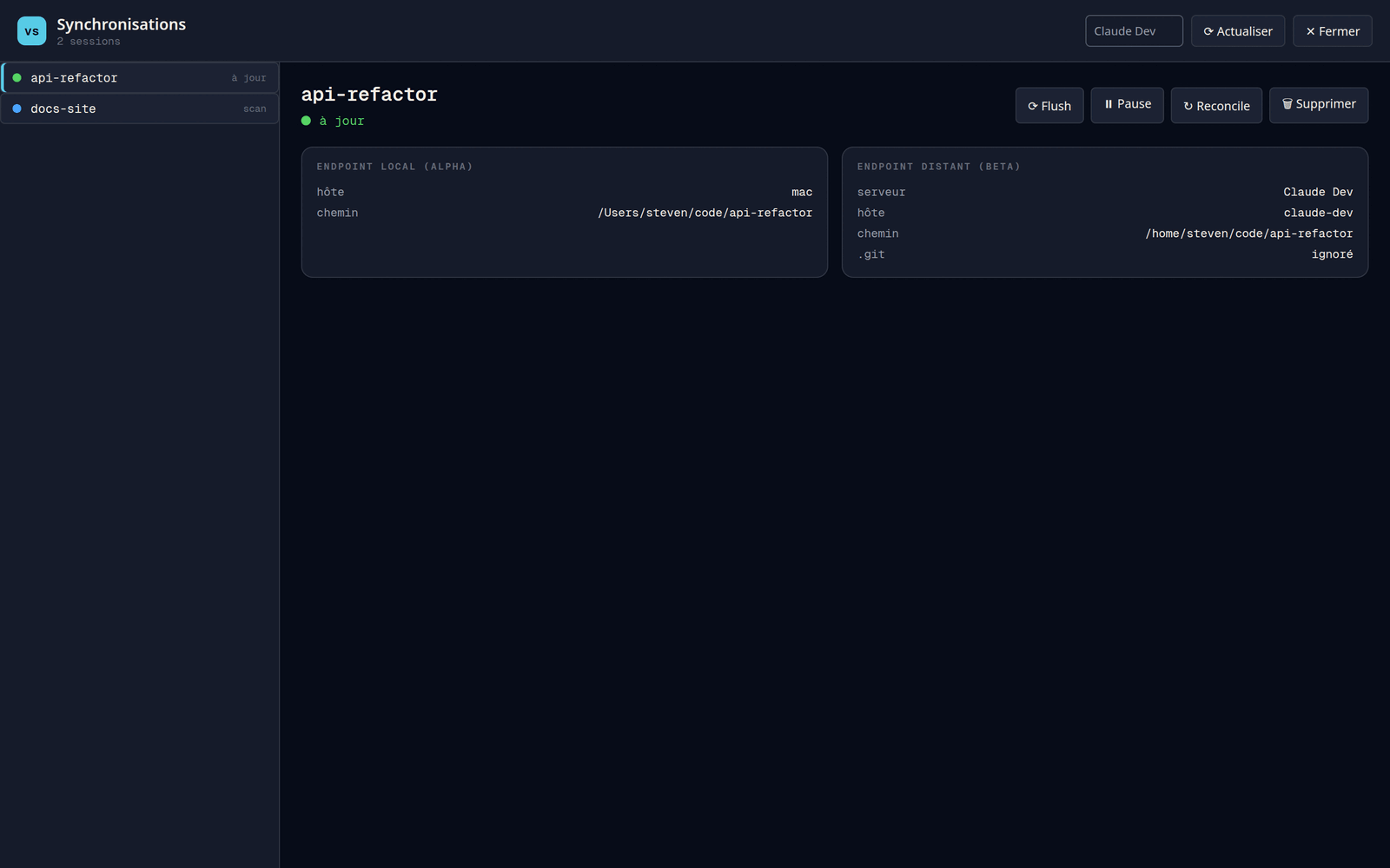Capture d'écran de Voyageur : la console de synchronisation, l'état des transferts entre la machine locale et le serveur affiché en direct.